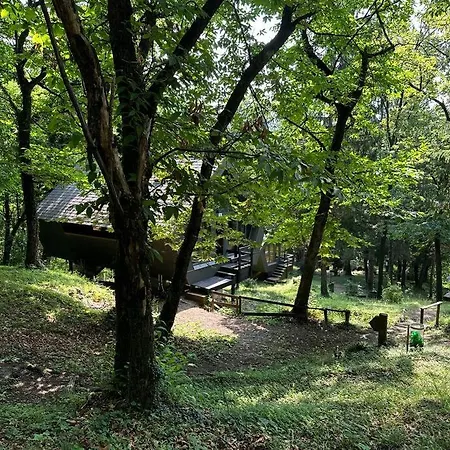 Malcantone/tessin, Bosco Della Bella, Casetta 15 Termine